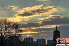 （我家这一年）关于独自北漂的“松弛感”，“00后”小编有话说图片