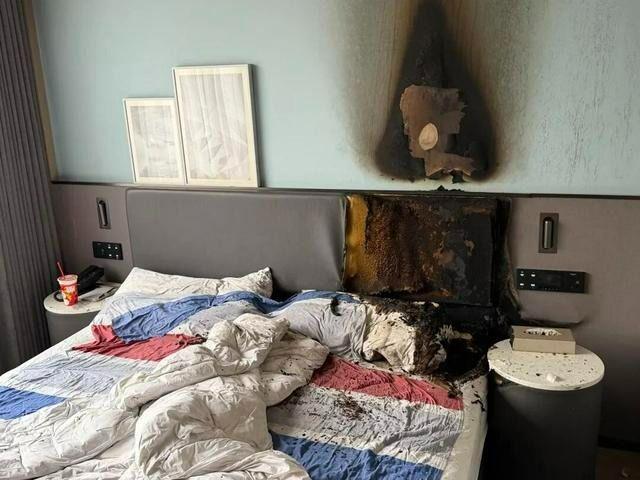 北京号最精彩 | 太惊喜！京城第一波蜡梅开啦！位置就在——