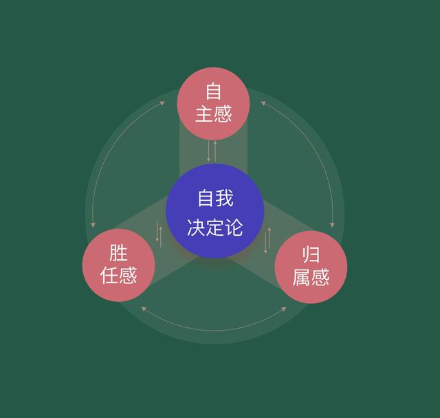使命和目标：为人生战略注入力量与幸福