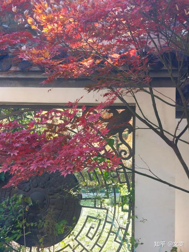 如何描述“北京的秋”？这是一期有温度的推送……