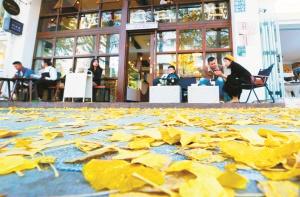 昆明的冬，是暖色系的！