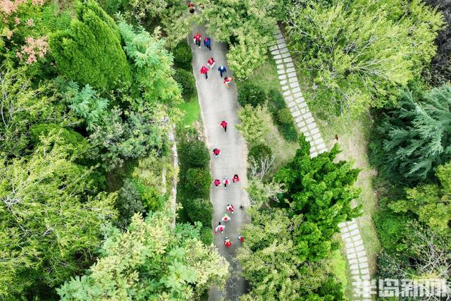 登高赏秋庆重阳，2025第三届青岛重阳登高健身活动圆满举办