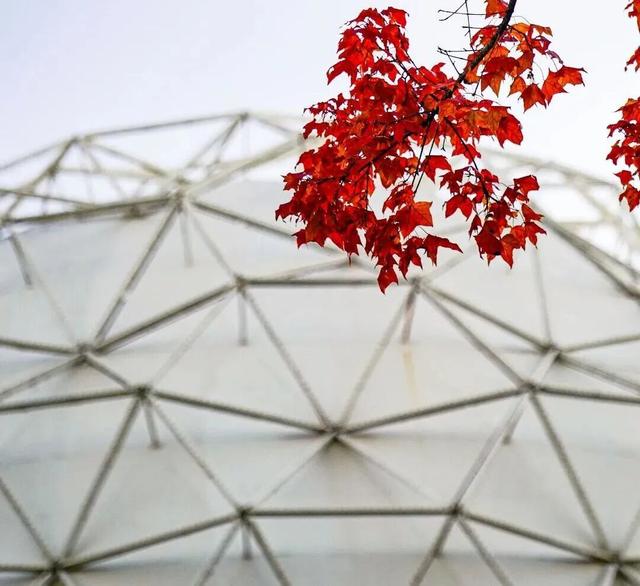 观众留言板｜冬季遛娃首选！真正边玩边学的科学启蒙