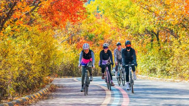 四季流转 多彩枣庄 | 枣庄：凤凰绿道色彩斑斓风景如画