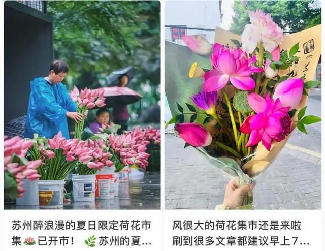 上海人组团去追这个“夏日顶流”，狂晒朋友圈！限时开放