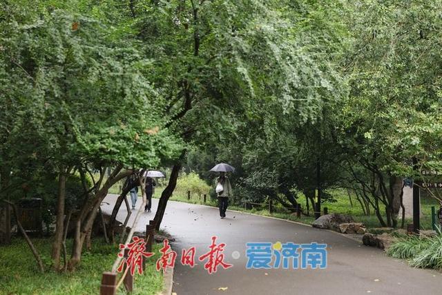 一年四季 泉在济南|细雨如丝，百花公园秋意朦胧