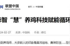 生态智“慧”养鸡科技赋能循环农业图片