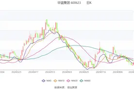 华谊集团：2024年上半年净利润4.14亿元 同比增长272.77%图片
