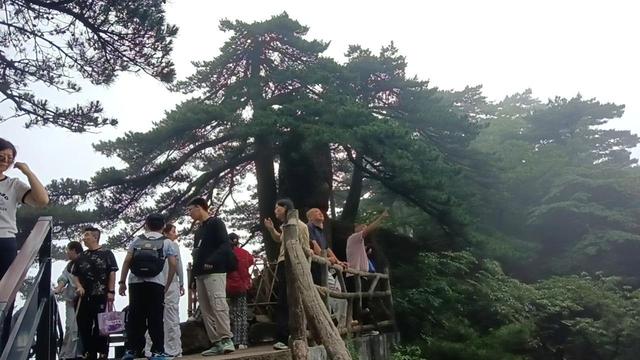 晚潮｜从迎客松到光明顶的奇幻旅程