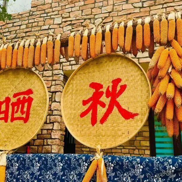 想在伊滨出片？这样拍满满故事感！