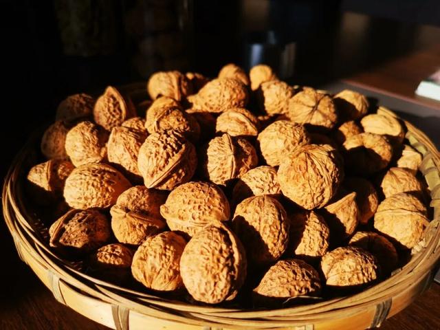 漾濞是“世界核桃起源地”！有五个维度可为证……