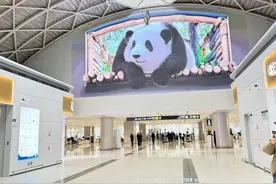 下周一起，南航、川航双流机场航班转至T1运营图片