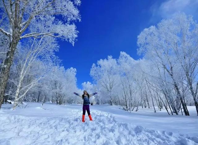长白山下“一体多翼”→延边打造多元冰雪体验新标杆