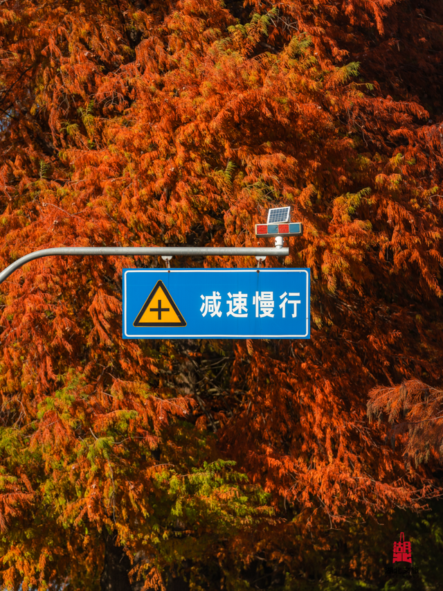 倒计时3天！接下来的湖北是这样的！