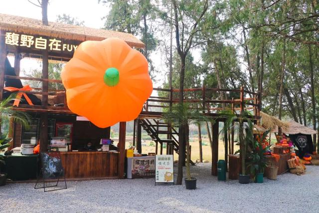 全球榜！中国榜！2026年，必打卡—日照！