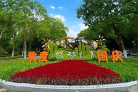 “颜值”满满 合肥经开区一批花境“亮相”图片