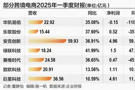 跨境电商应对环境不确定性：供应链全球化、销售市场多元化已在进行中图片