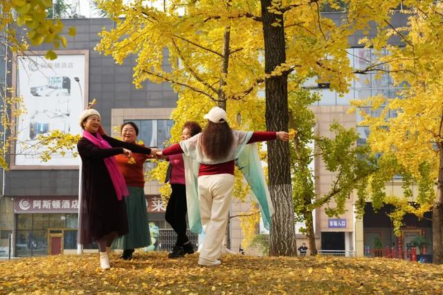 宜宾，含“金”量超高！