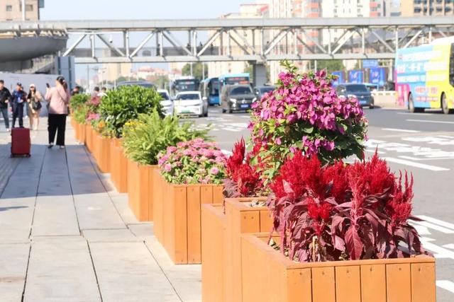 秋意正浓，邂逅浪漫！快来打卡“七站两场”地区的限定秋色