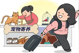 宠物寄养行业亟需规范标准落地图片