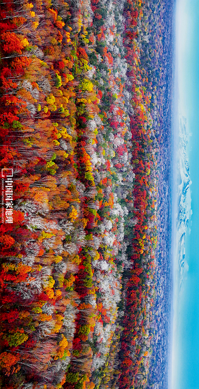 最被低估的秋景，一眼封神！