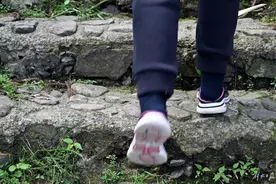 福建8岁男童爬山失踪5天仍在搜寻中，救援队员：野外生存面临干净水源难找、食物缺乏、失温风险等挑战图片