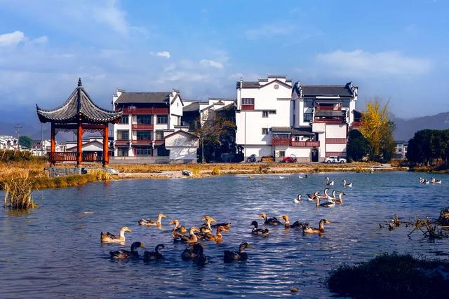 秋冬游资源！雾凇染丹霞，油茶暖红韵，这趟桂北秘境之旅很治愈