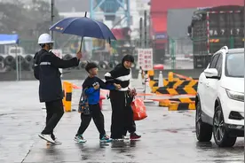2025年春节海南游还会遭遇“出入岛难”吗？图片