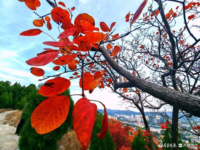 济南蝎子山，深秋 “鸳鸯火锅”景如画