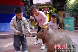 教师节来临 广州这些景区推出专属福利图片