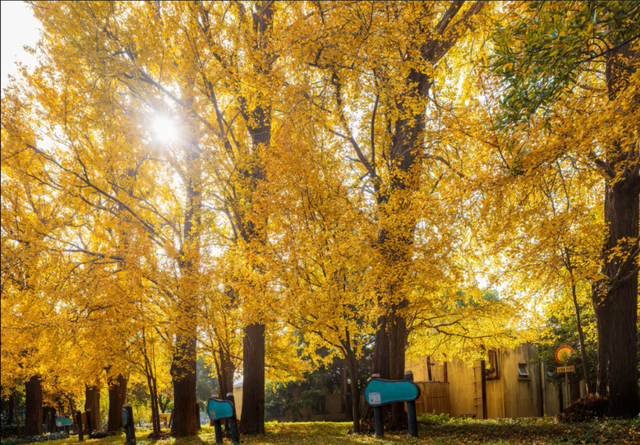 这些出片圣地，人少景美速收藏！