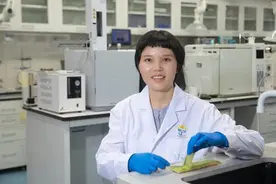 吃西瓜吃到“吐”，科学家受西瓜皮启发发表重要研究成果图片