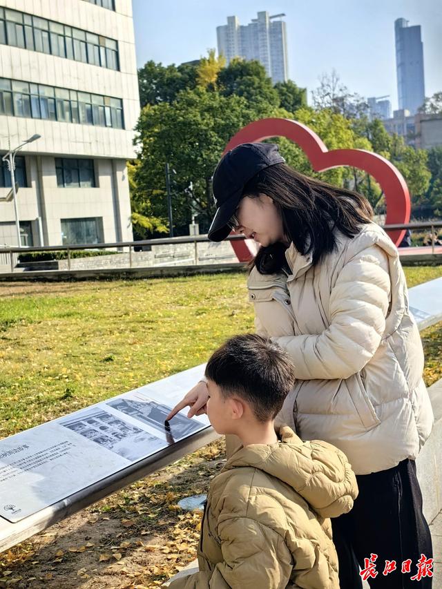 546岁汉阳树叶子全黄，进入最佳观赏期