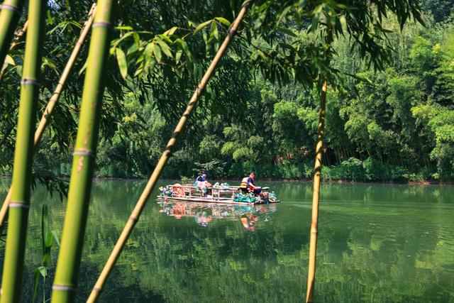 “泉”在济南过暑假·玫香胶韵泉清凉！ 平阴2025年夏季文化旅游季“好戏连台”