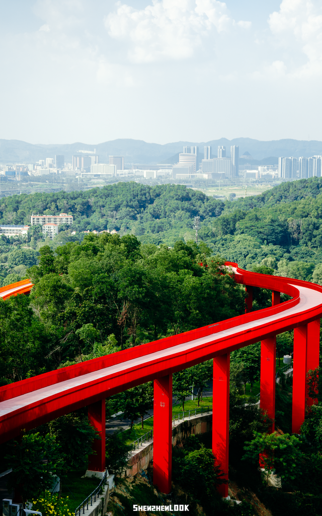 深圳环境五星的「网红公园」，不能再低调了