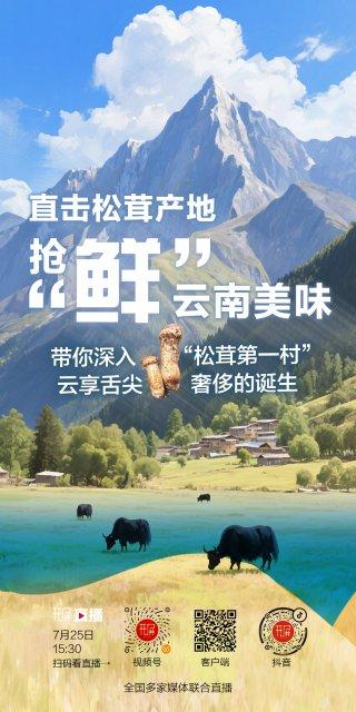 解锁“世界松茸第一村”，总共需几步？