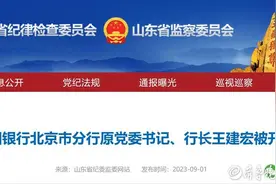 中行北京分行原行长王建宏被开除党籍：以贷谋私、风腐一体的典型图片