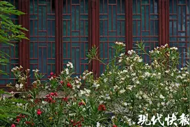 提前入夏，蚊子变多来得早？专家：不算早，大浓妆更容易被咬图片