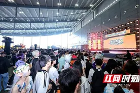 精彩纷呈！2025燚热浪国际动漫游戏博览会启幕图片