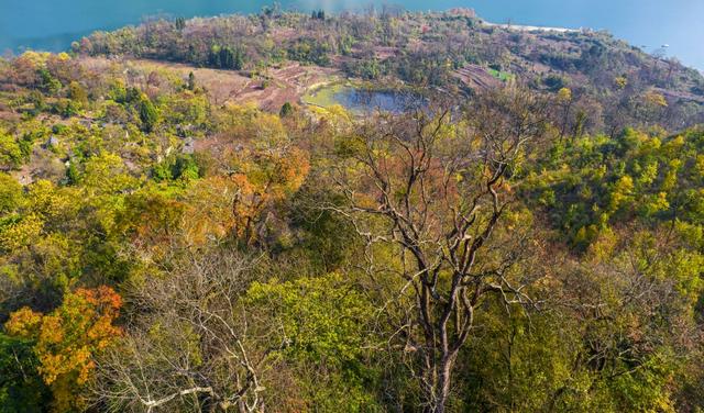 天眼影像｜黔西：乌江上游 冬景如画