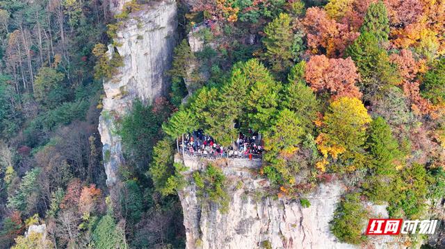 组图丨张家界国家森林公园漫山彩叶醉游人