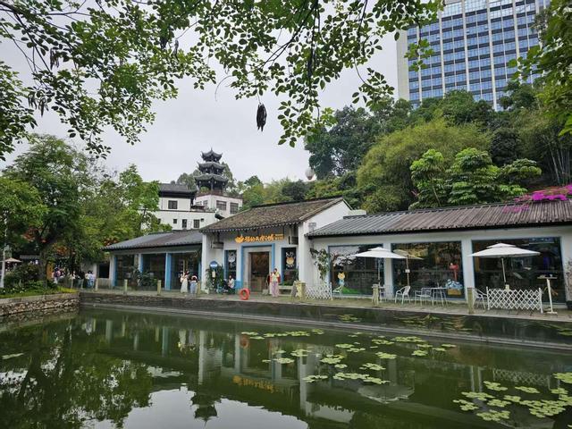 这条旅游专线直通龙岗多个景点，工作日专属，告别“人挤人”