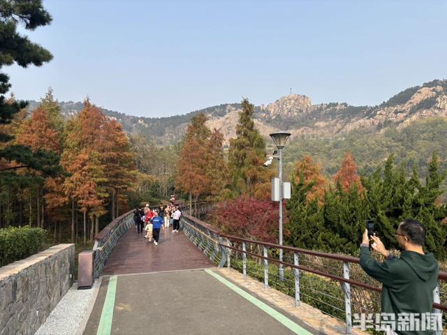 浮山南麓，藏着青岛最美冬日