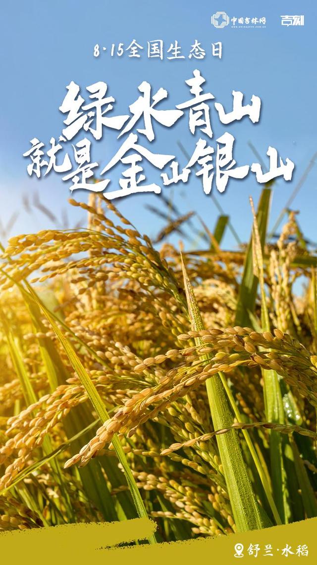 8·15全国生态日特别海报｜解锁吉林大地的生态密码