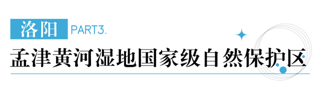 在秋冬的诗行里，尽赏“芦花飞雪”落中原！