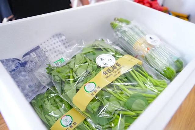 奉贤漫游指南：从海湾潮声到田园荷香，更有多重优惠