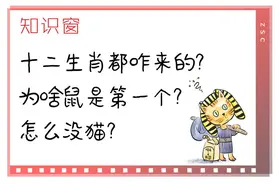知识窗｜十二生肖都咋来的？为啥鼠是第一个？怎么没猫？图片
