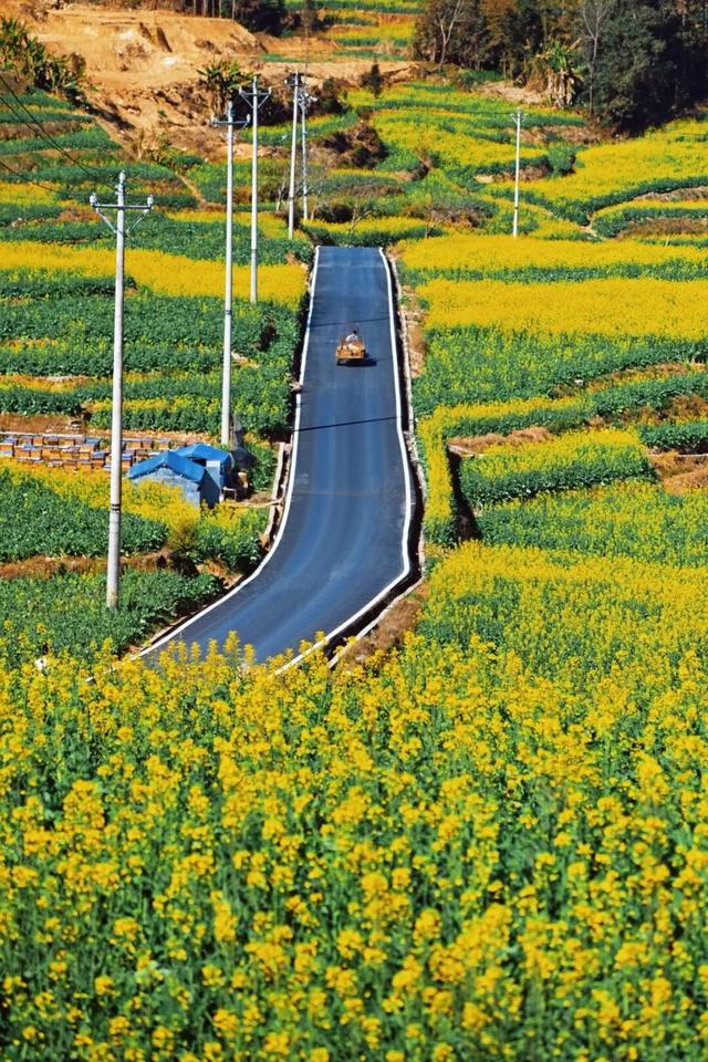 这条路超美超出圈！2月1日，一起来跑吧！