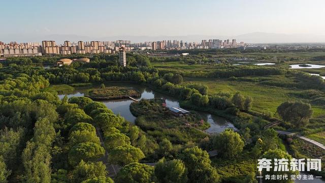 奔流城市计划·张掖丨一汪湿地润甘州