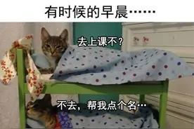 700万人在线看大学寝室勾心斗角，这个6年前的抽象游戏怎么又火了图片